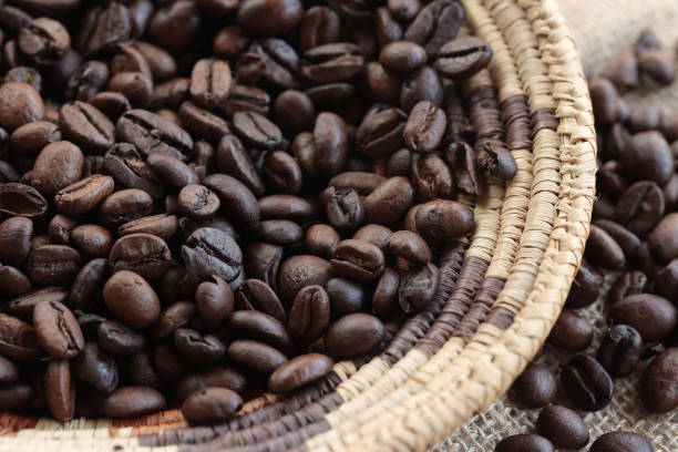 Traditional coffee drying with the sun