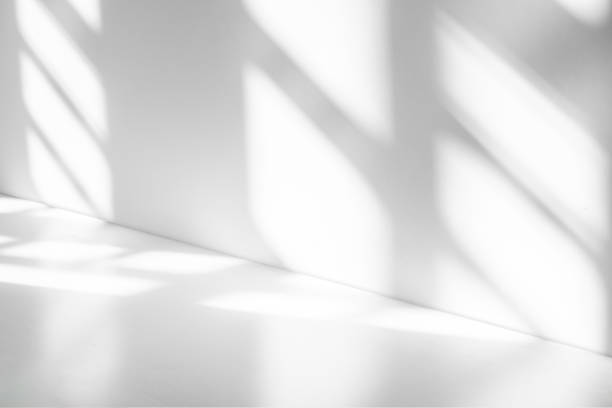 istock Wall interior background, studio and backdrops show products.with shadow from window color white . background for text insertion and presentation product 1999308754