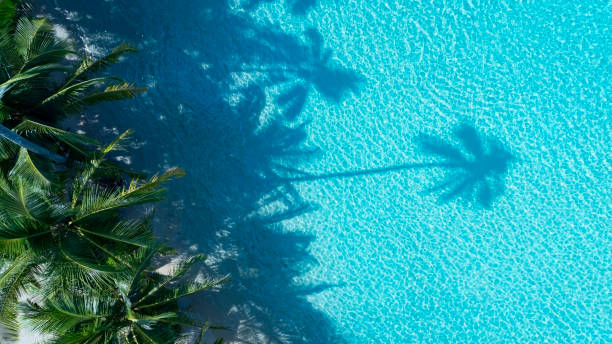 istock Summer palm tree  and Tropical beach with  Aqua waves and coconut palm shadow on blue background. 1999348680
