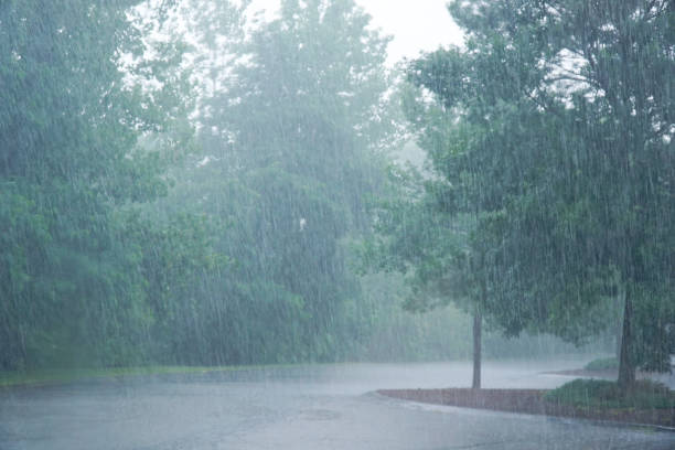 istock landscape of heavy rain and trees 1999392305