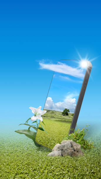 Field with green grass and trees with sunlight on the mobile phone screen over a colored background. Traveling concept