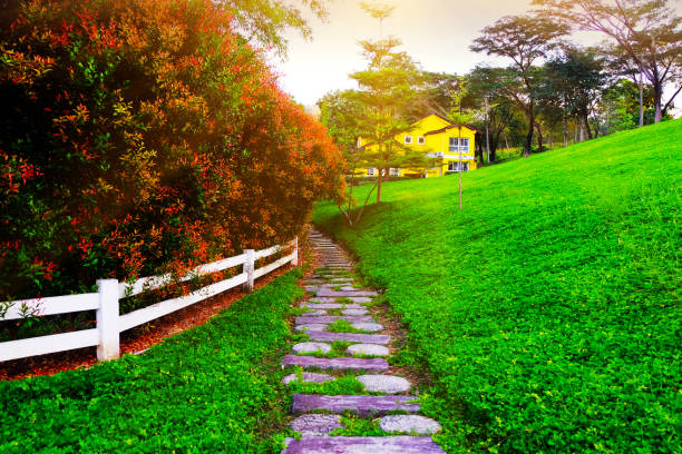 Stepping stone pathway on the lawn in the garden