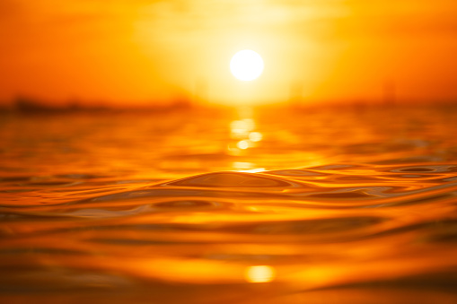 Beautiful golden water surface under the summer sunlight.