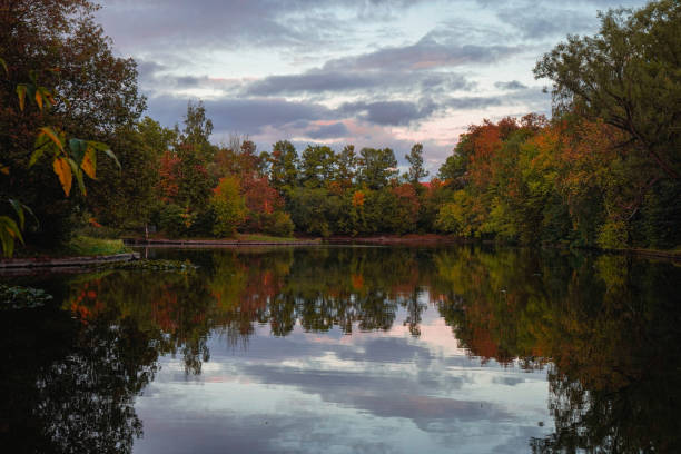 istock A quiet pond in a city park 1999591191