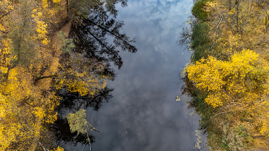 Autumn aerial drone look down view on river with colorful golden trees on riverbanks. Autumnal vibrant Siverskyi Donets River in Ukraine