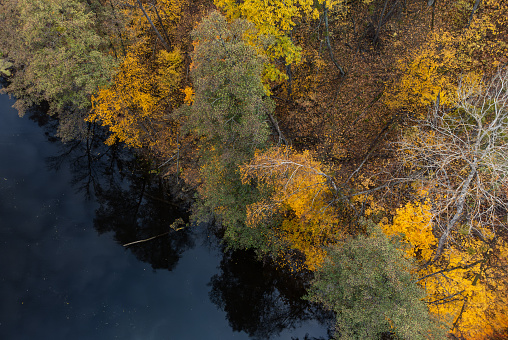 Autumn aerial drone look down view on river with colorful trees on riverbanks. Autumnal river scenery in Ukraine