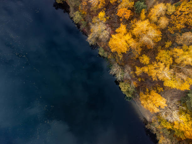 istock Autumn aerial look down on river in yellow forest 1999601063