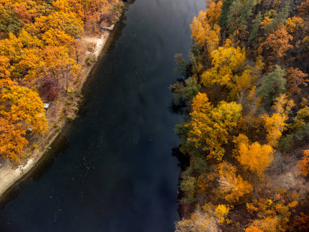 istock Autumn aerial look down on river in yellow forest 1999601065