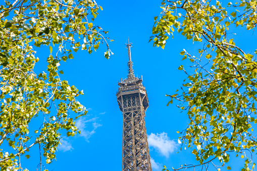 Paris, France - September 09, 2023 : Top of the Eiffel tower with a blue sky and some green foliage on a summer day