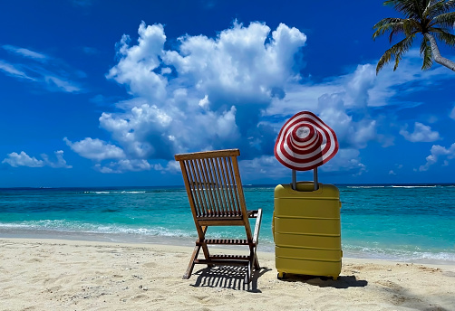 Yellow of the luggage with plam trees  on the beach- summer travel concept