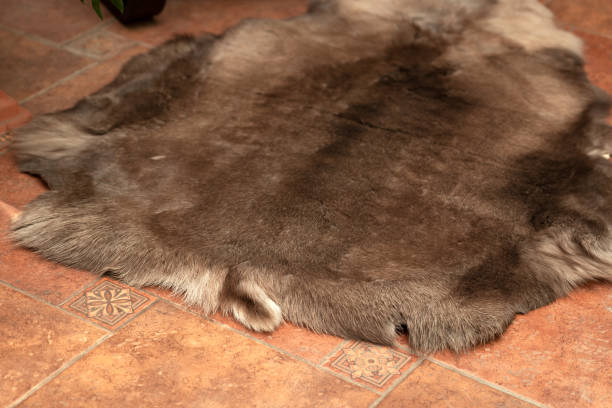 istock Brown reindeer skin on the floor close-up 1999769253