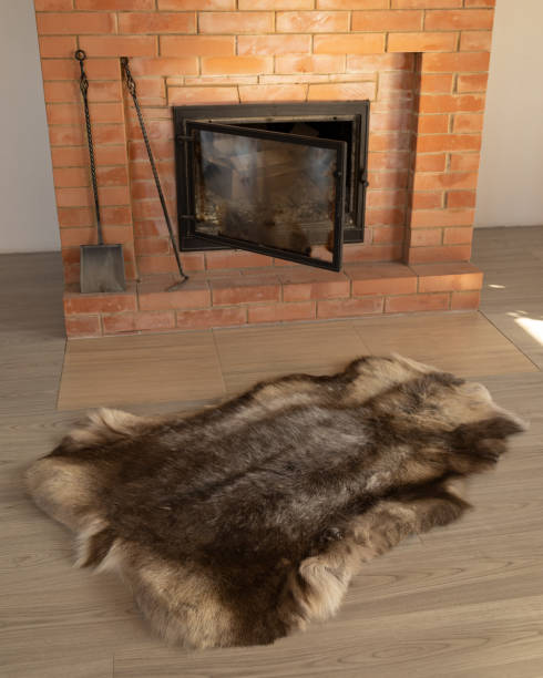 istock A brown deerskin on the floor by the fireplace 1999783201