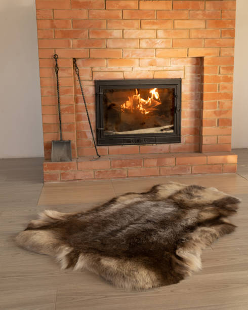 istock A brown deerskin on the floor by the burning fireplace 1999785385