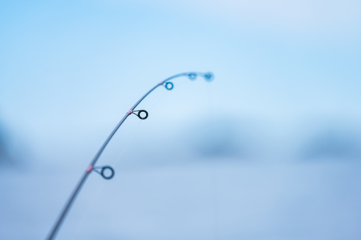 Fishing pole lightly bent by a fish on hook.