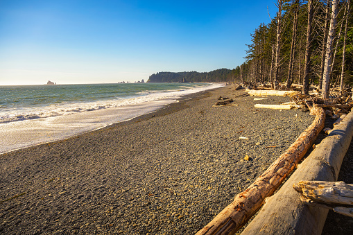 Rialto Beach with driftwood and sea stacks in Washington State. Rialto Beach, situated within Olympic National Park, is positioned to the north of La Push, the Quileute Tribe's residence.