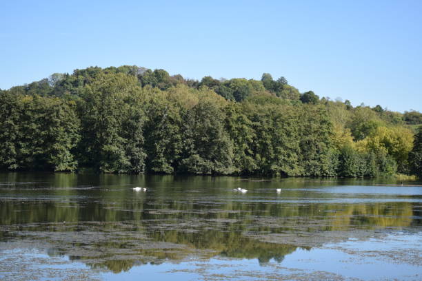 istock autumn trees at the lake 1999854743