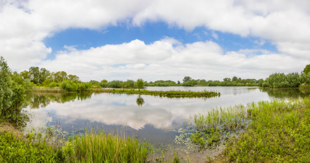 istock Floodplain forest Nature Reserve Ouse Valley, Milton Keynes, UK 1999906881