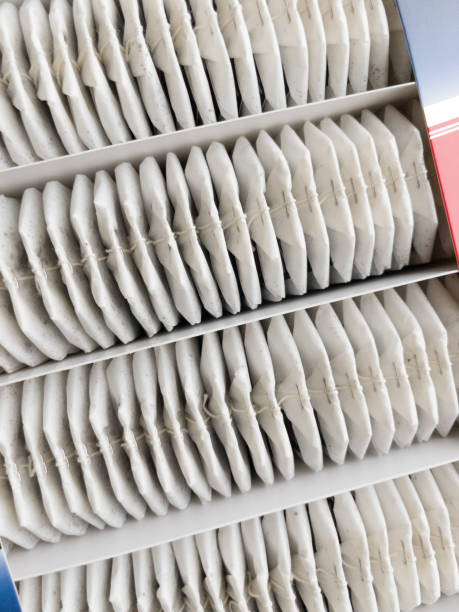 Close-up of tea bags in a box. Tea bags in open carton box set.