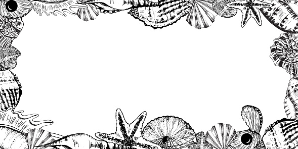 Handdrawn Ink Illustration Black And White Rectangular Frame With Sea ...