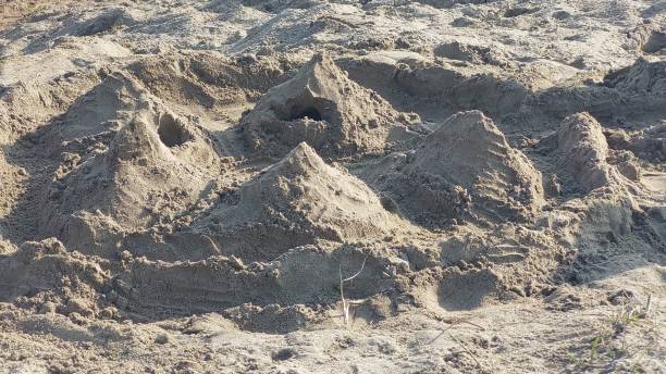 istock kids made homes with desert sand 1999928862