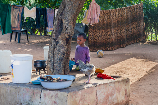 village african child in the yard , messy yard chicken and a three legged pot in the frame, washing line in the background, daily life