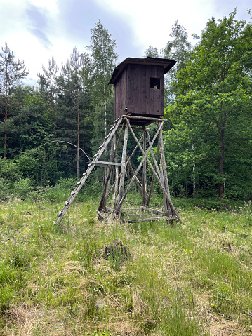 Wooden lookout tower for hunting in the forest. Hunting tower in nature, Czech Republic.