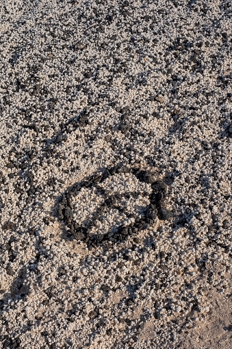peace symbol created with black rocks on the beach of Las Palmitas Fuerteventura