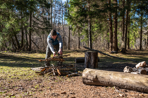 A man collecting firewood for a campfire at the glade in the pine tree woods