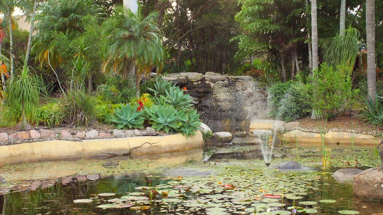 Bright sunlight shining above a beautiful tropical lagoon, covered in water lillies with a rock waterfall and fountain as garden features nestled among the tropical trees.