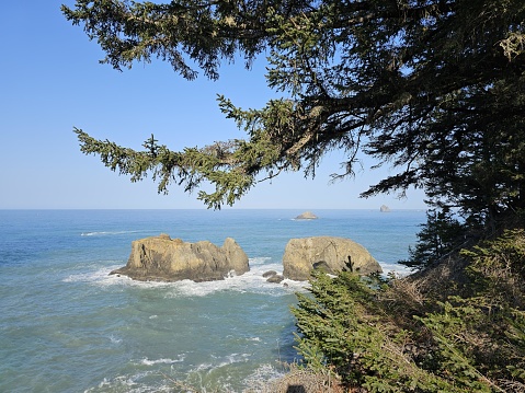 The picture shows a serene coastal scene. The clear sky above is a soft blue without any clouds, suggesting it might be a pleasant day. In the foreground, the branches of a coniferous tree, likely a pine or similar type, stretch into the frame, providing a natural frame for the ocean view. The dark green needles contrast with the bright sky and water, adding a touch of wilderness to the image.  Below, the ocean is a gradient of blues, from a deep navy on the horizon to a lighter turquoise near the shore, indicating shallow waters. Gentle waves lap at the base of several large, weathered rock formations that rise abruptly from the sea near the shore. These rocks are light gray or tan, smoothed and sculpted by the relentless forces of the ocean. Smaller distant rocks dot the horizon. The coastline beyond the tree frames, possibly made of cliffs, stretches subtly into the distance, hinting at the vastness of the coastal landscape. The scene evokes a feeling of tranquility and the natural beauty of a rugged coastline untouched by urban development.