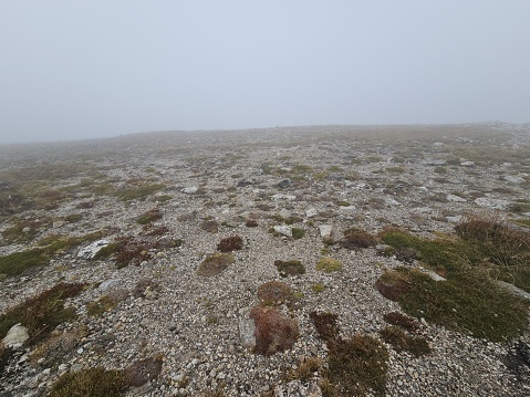 The picture shows a rocky and barren landscape. The ground is covered with pebbles and sparse patches of grass or moss, with no tall vegetation in sight. The colors are quite muted, with different shades of gray and bits of green. The environment appears to be foggy or misty, which limits visibility and gives the scene a mysterious and desolate atmosphere. The overall impression is of a natural, possibly high-altitude location with harsh conditions for plant life.