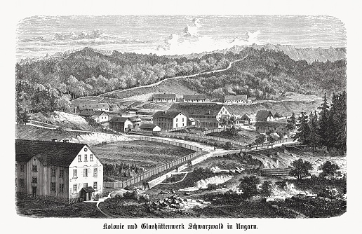 Glassworks colony in Schwarzwald near Großwardein (Oradea, former Hungary, now Romania). Founded in 1852 by Johann Freiherr von Liebig (Austrian industrialist, 1802 - 1870). Wood engraving, published in 1869.