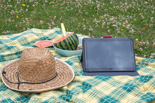 Empty touch screen tablet on the green graas, summer picnic in garden, hat, watermalon, High quality photo