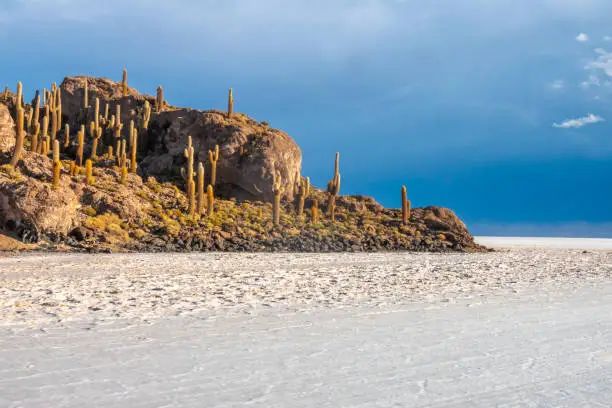 Photo of An ancient volcanic island creates a rocky outcrop in the midlle of the Salar de Uyuni, the world's largest salt flat, Bolivian altiplano