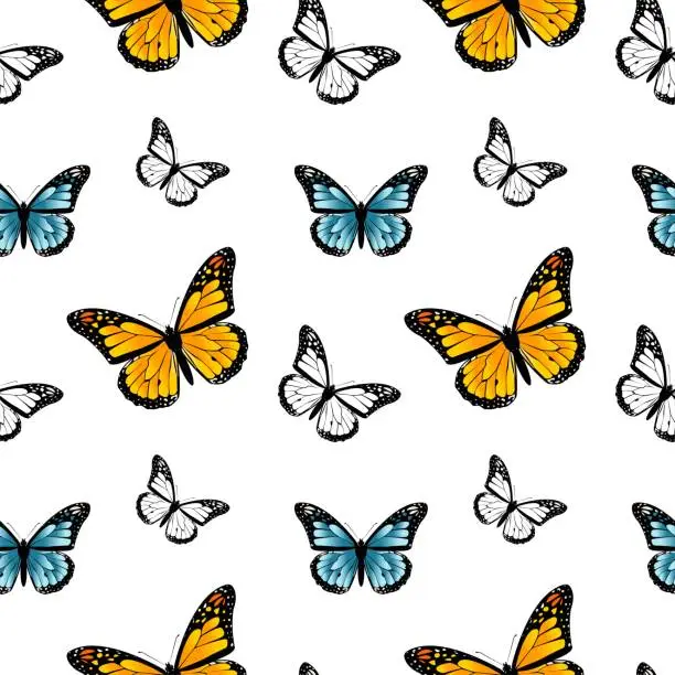 Vector illustration of Seamless pattern of butterflies. The butterfly monarch. Buttrerflies on white background. Blue butterfly. Vector graphic seamless pattern.