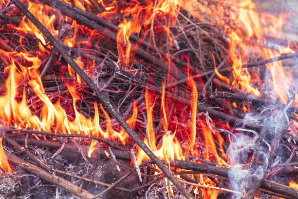 istock Burning firewood in a campfire, close-up 2000185532