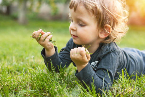istock Young child playing with grass on a sunny day 2000195269