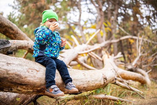 Toddler Enjoying a Drink Outdoors on a Fallen Tree