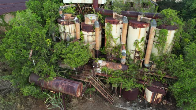 koloa sugar mill equipment overgrown by trees, drone pan