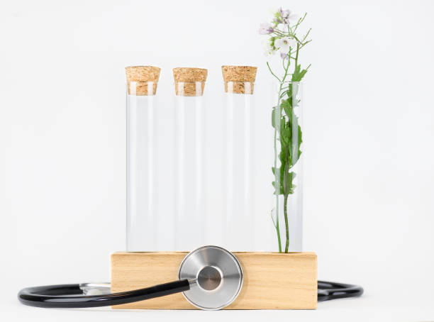 istock Medicine and Alternative Healing: Stethoscope and Test Tube on White Background 2000209193