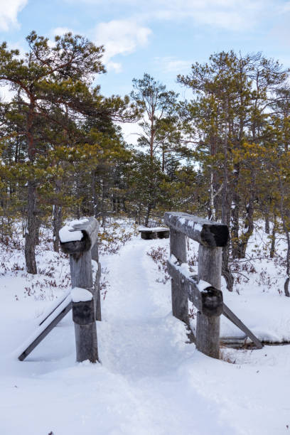 istock A snowy wooden bridge on a walking path on a winter day 2000210583