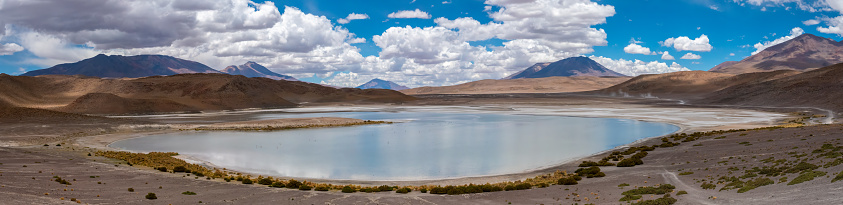 Panoramic view of Laguna Hedionda with flocks of famingos, Nor LÃ­pez, Bolivia