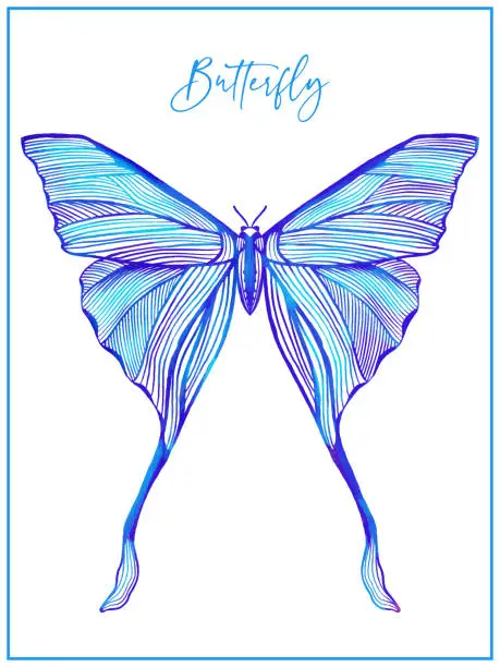 Vector illustration of Hand Drawn Blue Watercolor Butterfly Poster. Design Element, Clip art, Template for Greeting and Invitation Cards.