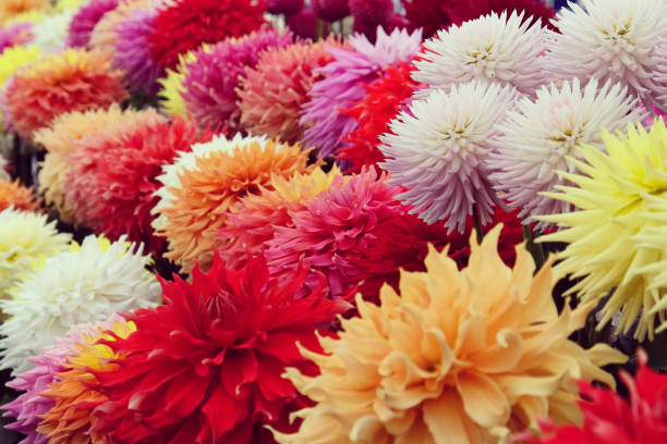 flower arrangement