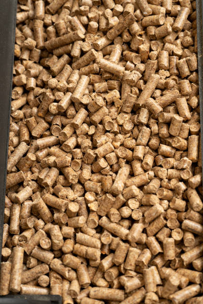 istock Wooden pet bedding vertical background. Wood pellets texture. 2000244794