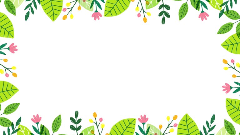 hand drawn leaves and flowers illustration frame (12 seconds loop）