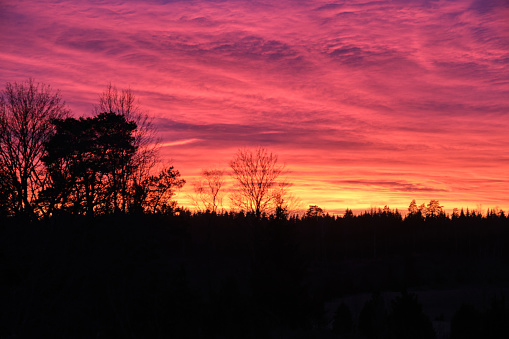 Magical sunset in winter in January over Bredebolet in Skaraborg in Vaestra Goetaland in Sweden on a cold day