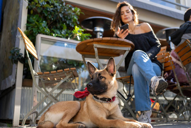 Dog and owner in a coffee shop