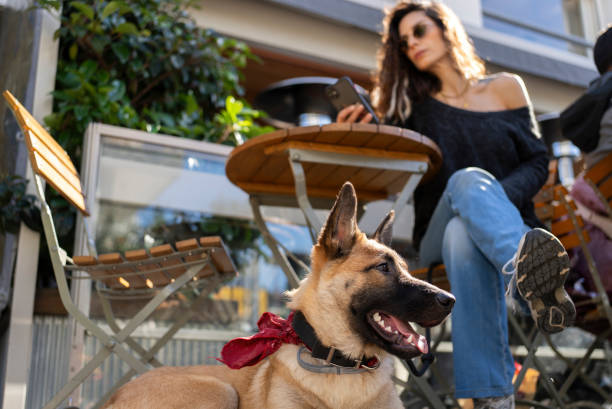 istock Dog and owner in a coffee shop 2000271100