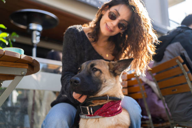 istock Dog and owner in a restaurant 2000271613